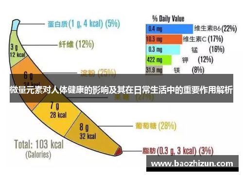 微量元素对人体健康的影响及其在日常生活中的重要作用解析
